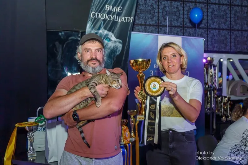 Sebastian (Seba) - Cat Show - GIC title