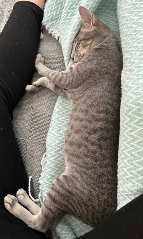 Simona (Sima) - Nap time
