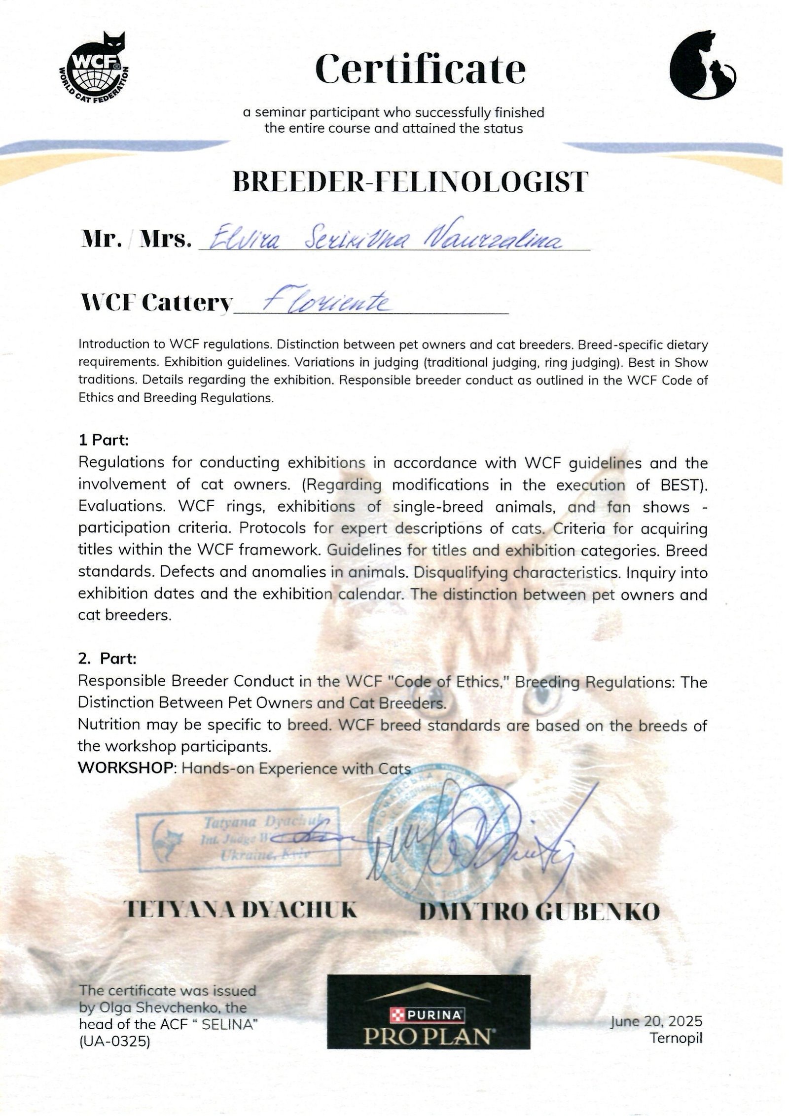 Breeder-Felinologist Certificate — June 2025, Ternopil