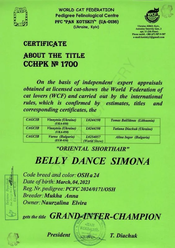 Grand Inter-Champion - Belly Dance Simona