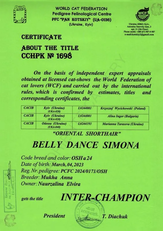 Inter-Champion - Belly Dance Simona