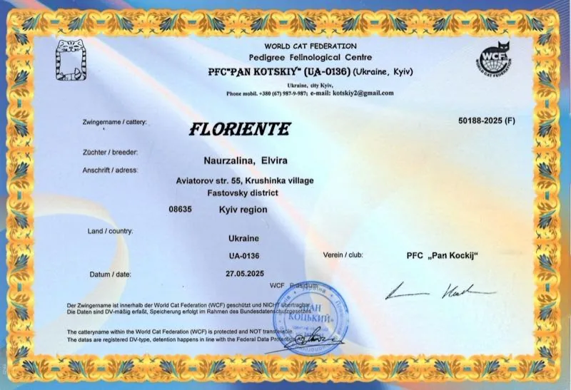 WCF Cattery Registration - Floriente #50188-2025