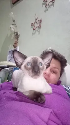 Tatiana